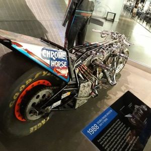 Meet your Posher, Dylan